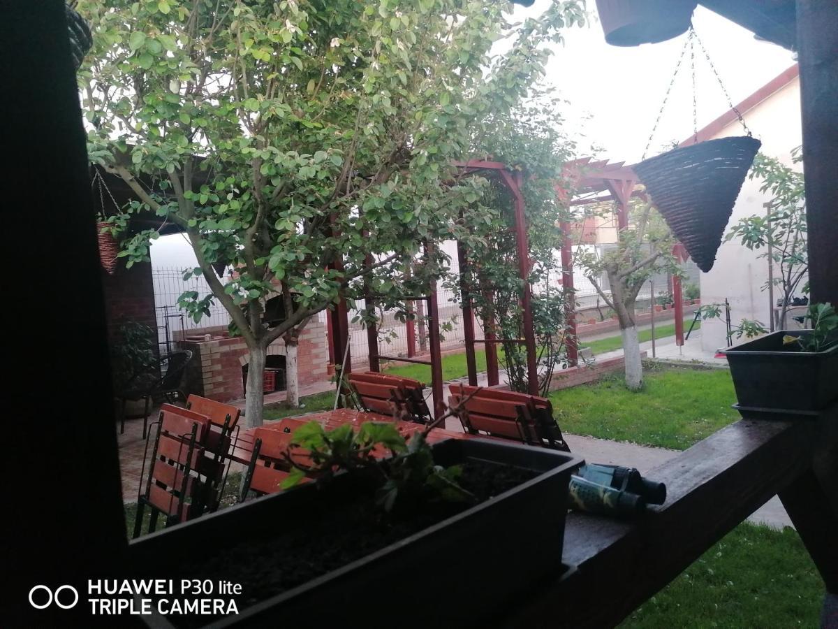 Casa Stefy Vama Veche Exterior photo